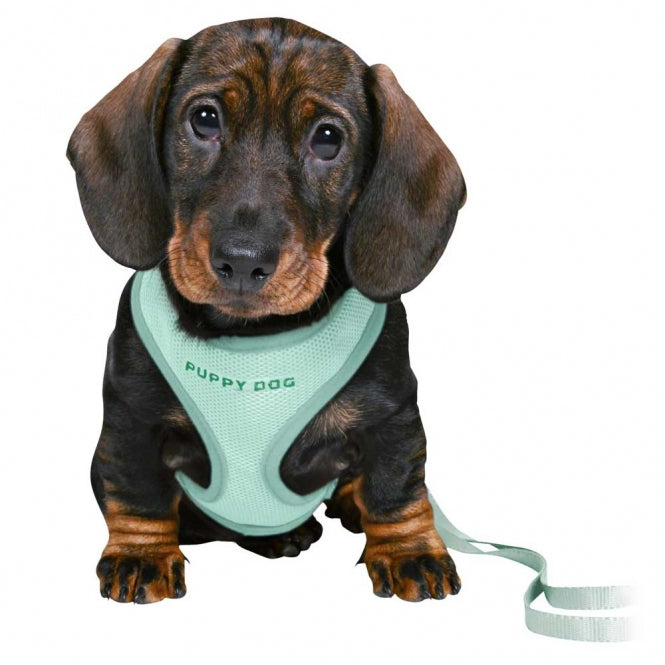 Trixie Junior Welpen-Softgeschirr mit Leine - flieder