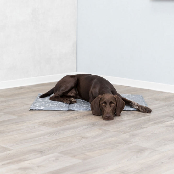Trixie Kühlmatte Soft - 90 -60 cm