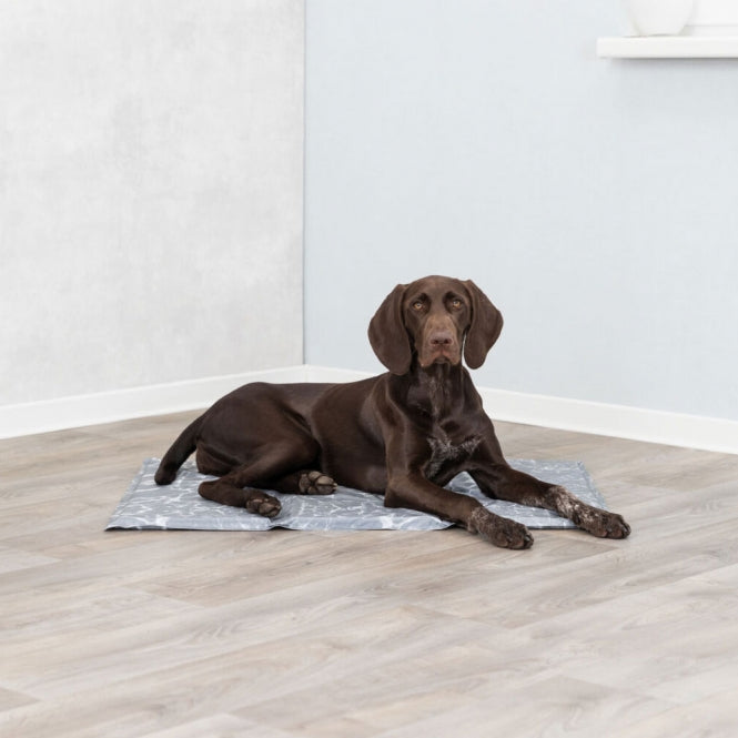 Trixie Kühlmatte Soft - 110 -70 cm