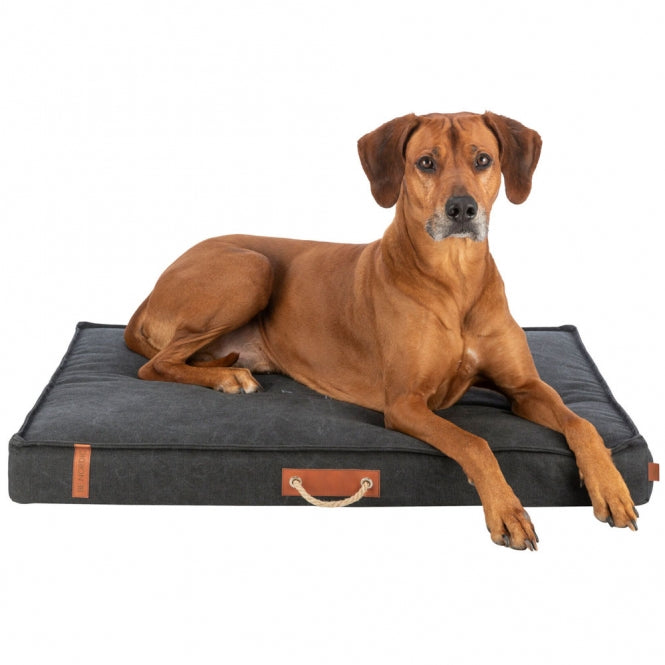 Trixie BE NORDIC Matratze Föhr - Schwarz - 100 -70 cm