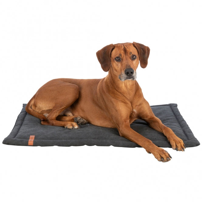 Trixie BE NORDIC Liegematte Föhr - schwarz - 100 -70 cm