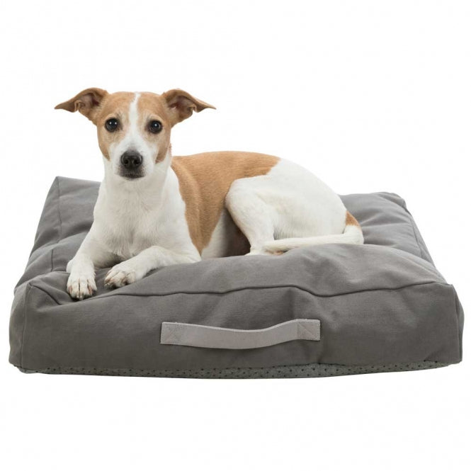Trixie Be Eco Kissen Danilo - 100 x 70 cm
