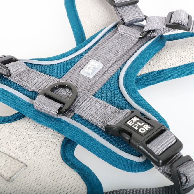 Duvoplus EXPLOR Ultimate Fit No-Pull-Geschirr - petrol blue - M - 40-49cm - 49-65cm