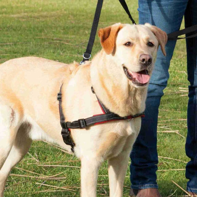 Trixie Trainingsgeschirr Lead'n'Walk Soft - S-M